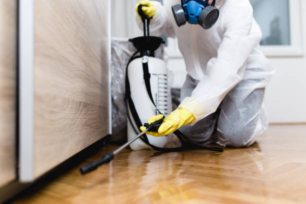 Best Ant Control Services  in Menard, TX