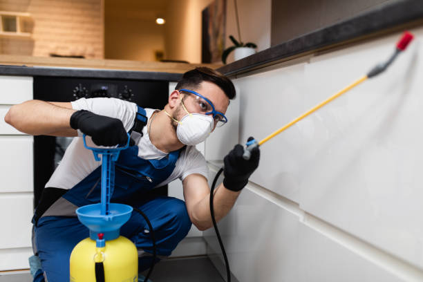 Trusted Menard, TX Pest Control Experts