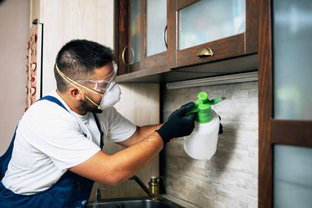 Best Pest Control Near Me  in Menard, TX