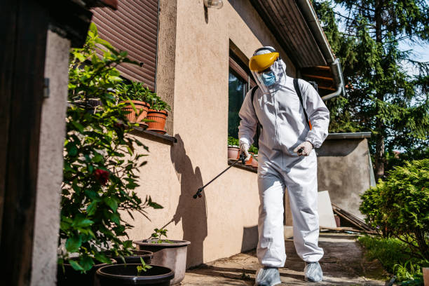 Flea Control Services in Menard, TX