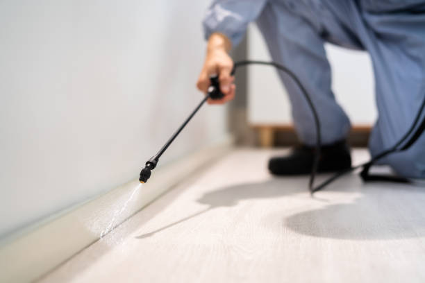 Best Pest Removal Services  in Menard, TX