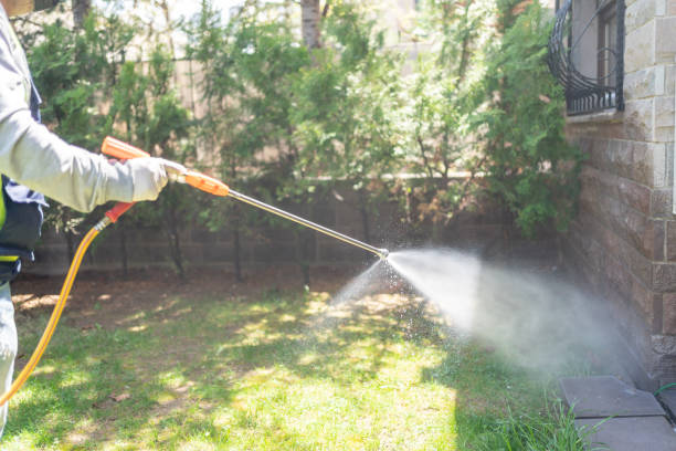Best Pest Prevention Services  in Menard, TX