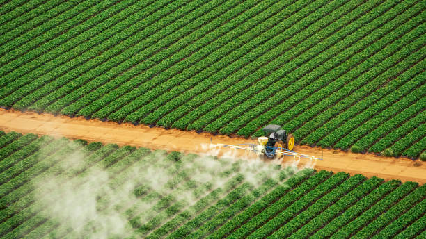 Best Termite Control Services  in Menard, TX