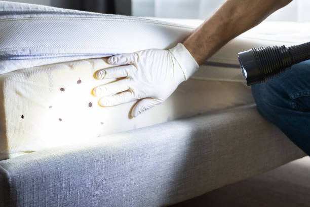 Best Best Pest Control Companies  in Menard, TX