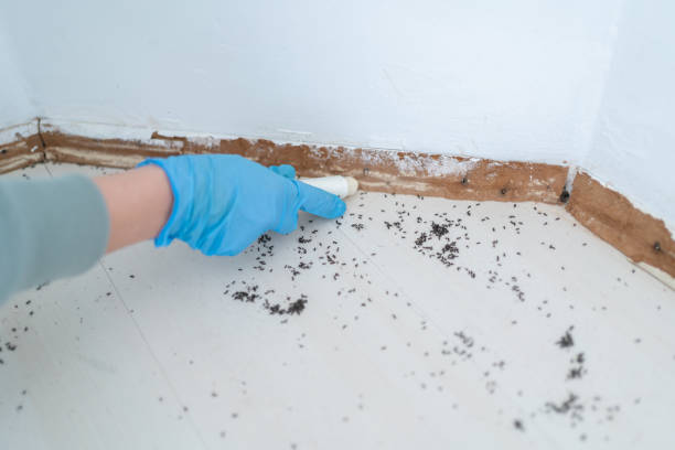 Best Best Pest Control Companies  in Menard, TX